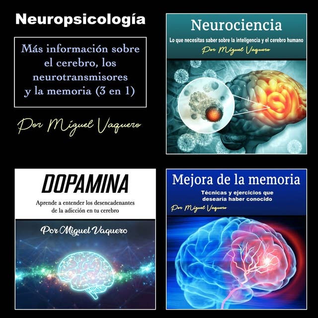 Neuropsicología: Más información sobre el cerebro, los neurotransmisores y la memoria