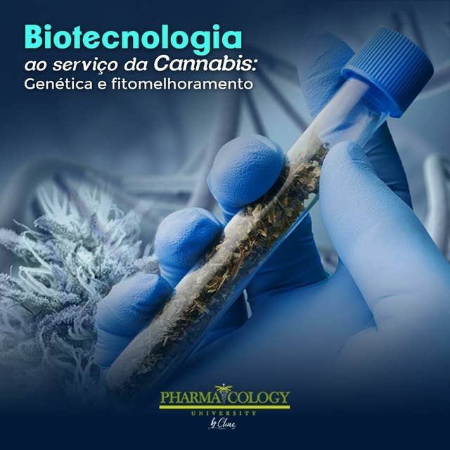 Biotecnologia ao serviço da cannabis: genética e fitomelhoramento