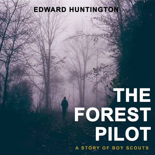 The Forest Pilot: A Story for Boy Scouts