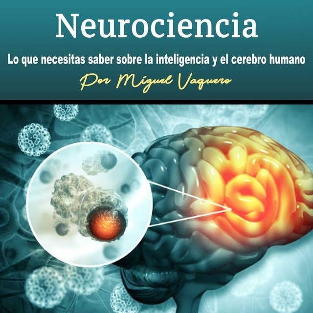 Neurociencia: Lo que necesitas saber sobre la inteligencia y el cerebro humano