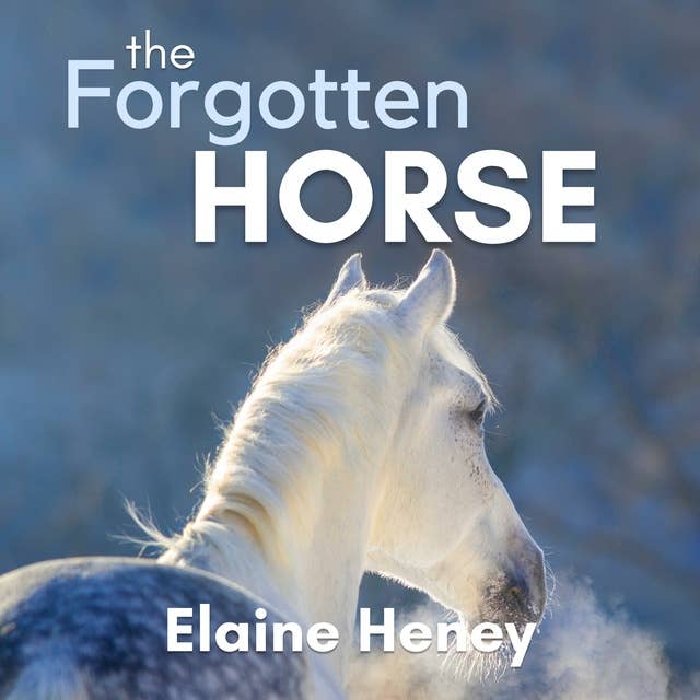 The Forgotten Horse: Book 1 in the Connemara Horse Adventure Series for Kids.