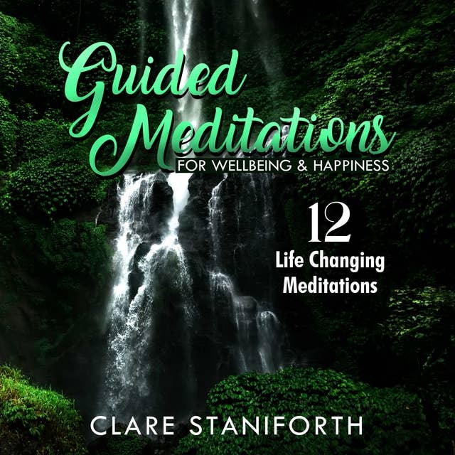 Guided Meditations for Happiness & WellBeing: 12 Life Changing Meditations