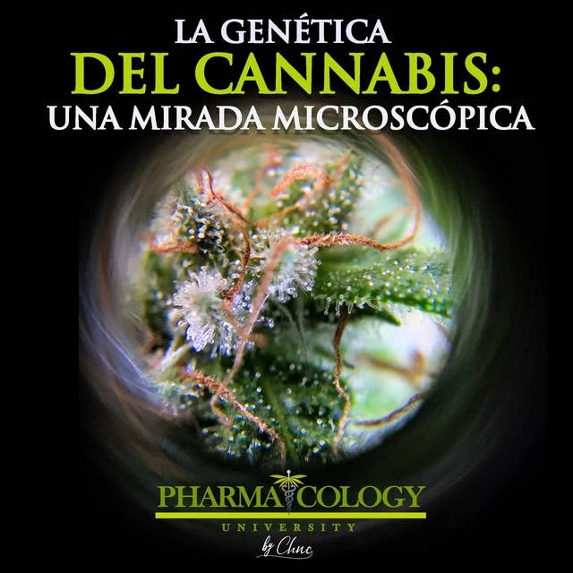 La genética del cannabis: una mirada microscópica