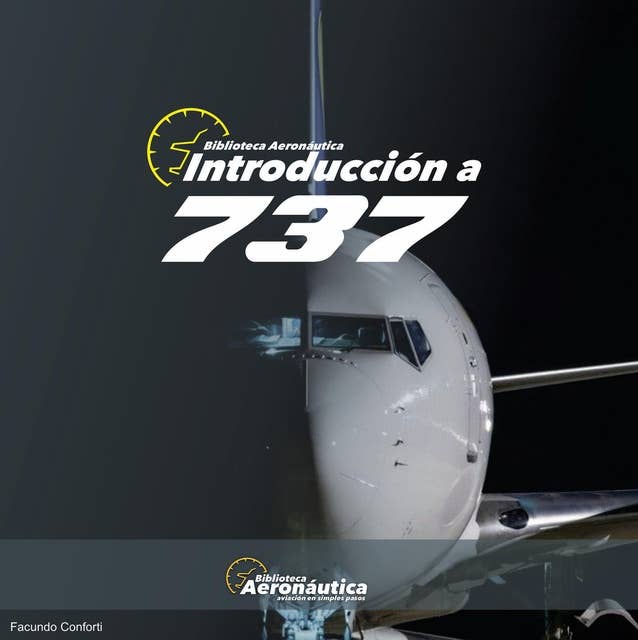Introducción a Boeing 737