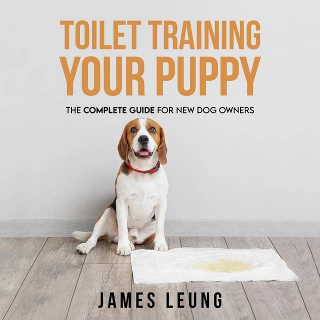 Toilet Training Your Puppy: The Complete Guide for New Dog Owners