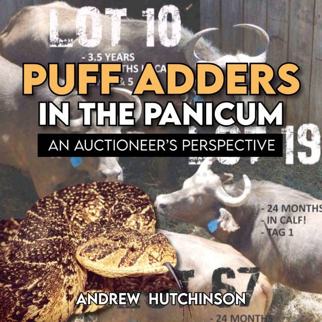 Puff adders in the panicum: An Auctioneer's Perspective