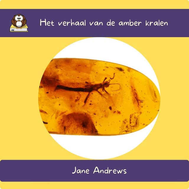 Het verhaal van de amber kralen