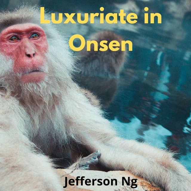 Luxuriate in Onsen