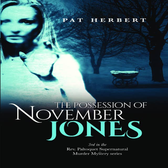 The Possession of November Jones: 3 (Reverend Paltoquet Mystery Series)