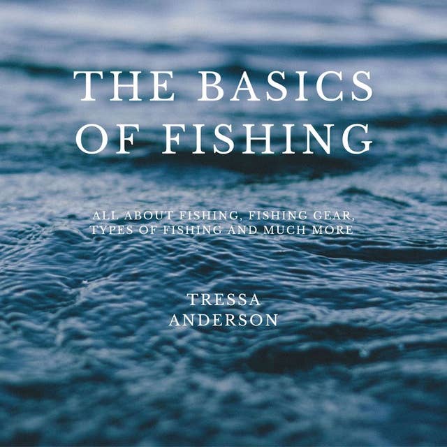 The Basics of Fishing