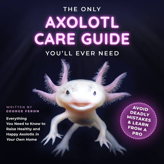 The Only Axolotl Care Guide You'll Ever Need