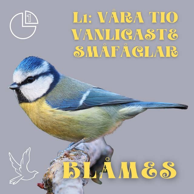Blåmes: Våra tio vanligaste småfåglar