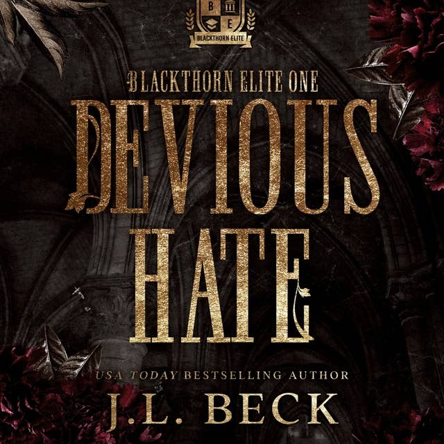 Devious Hate: A Dark Bully Romance