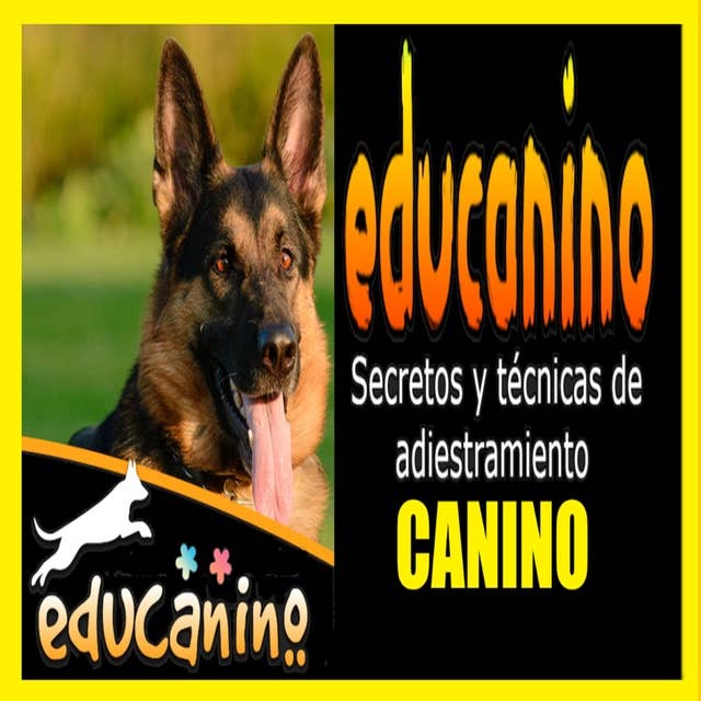 EDUCANINO, Secretos y técnicas de adiestramiento canino: EDUCANINO, Secretos y técnicas de adiestramiento canino