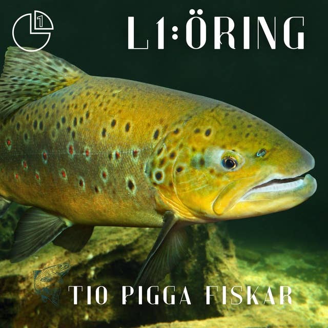 Öring: Tio pigga fiskar 