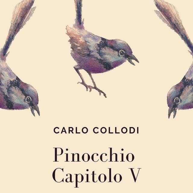 Pinocchio - Capitolo V