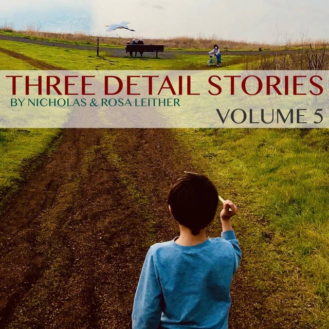 Three Detail Stories: Volume 5