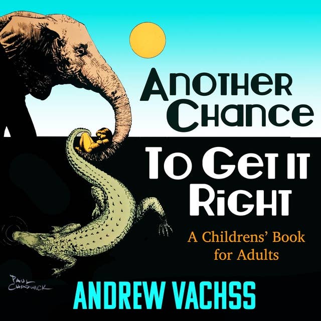 Another Chance to Get It Right: A Children's Book for Adults