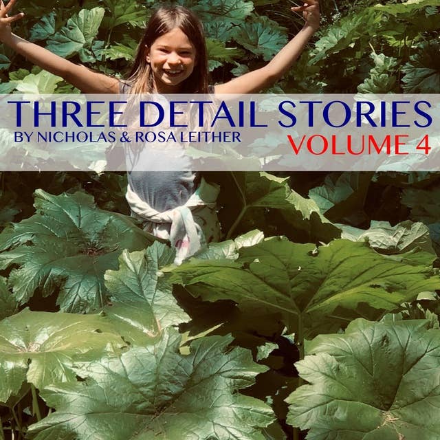 Three Detail Stories: Volume 4