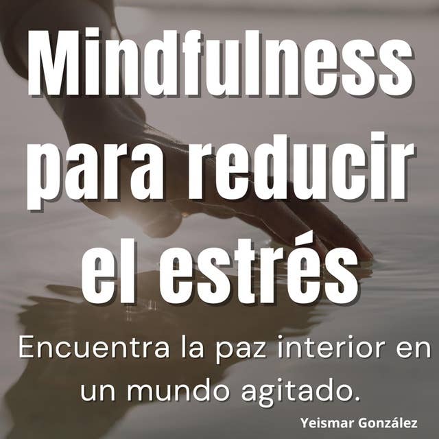 Mindfulness para reducir el estrés: Encuentra la paz interior en un mundo agitado.