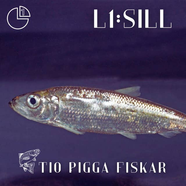 Sill: Tio pigga fiskar 