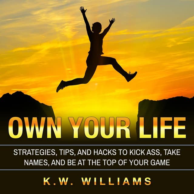 Own Your Life: Strategies, Tips, And Hacks To Kick Ass, Take Names, And Be At The Top Of Your Game