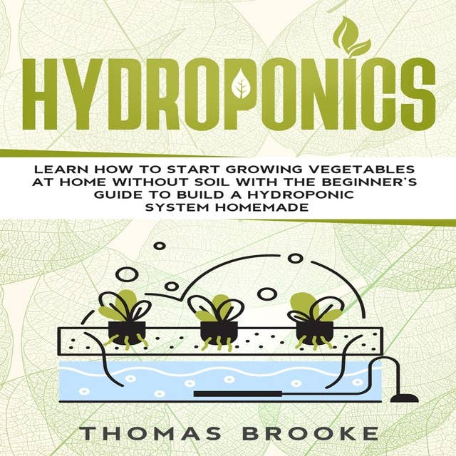 Hydroponics: Learn how to start growing vegetables at home Without Soil with the beginner’s guide to build a Hydroponic system homemade