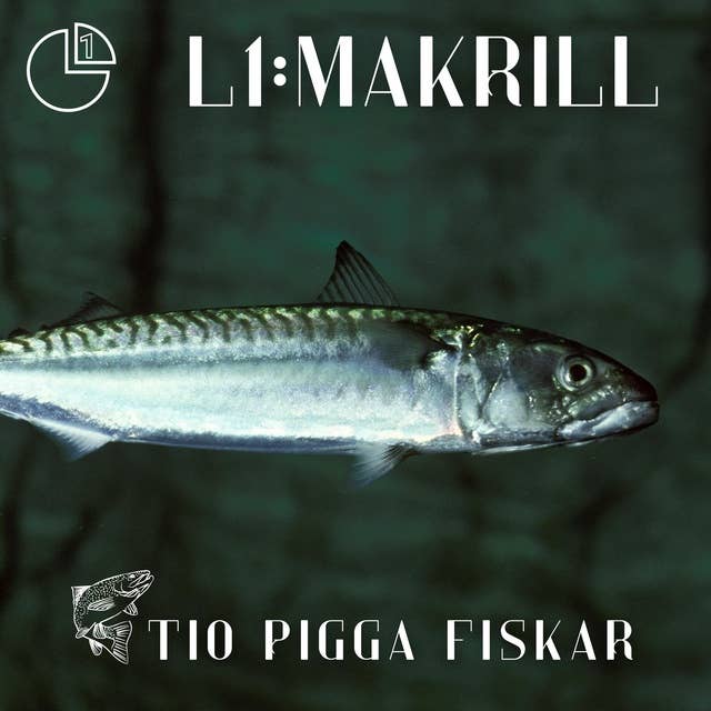 Makrill: Tio pigga fiskar