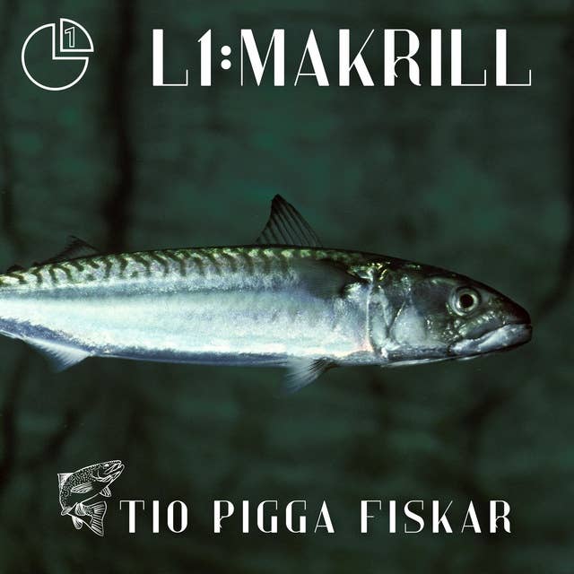 Makrill: Tio pigga fiskar 