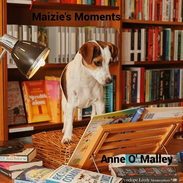 Maizie's Moments