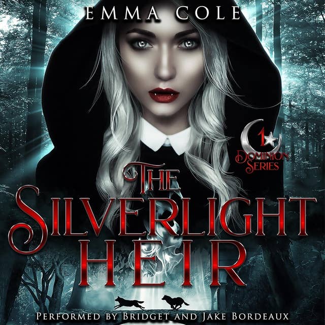 The Silverlight Heir