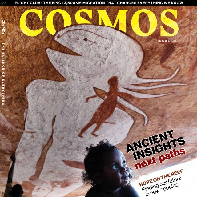 Cosmos Issue 99: Ancient Insights