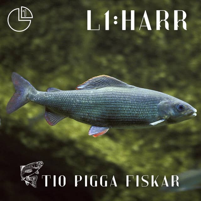Harr: Tio pigga fiskar 