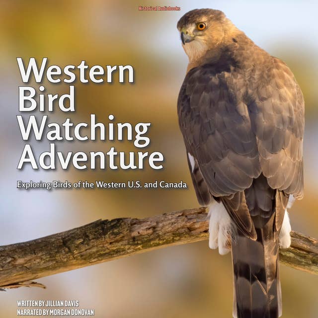 Western Bird Watching Adventure
