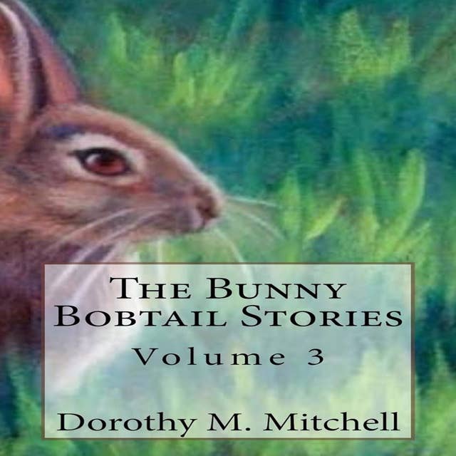 The Bunny Bobtail Stories