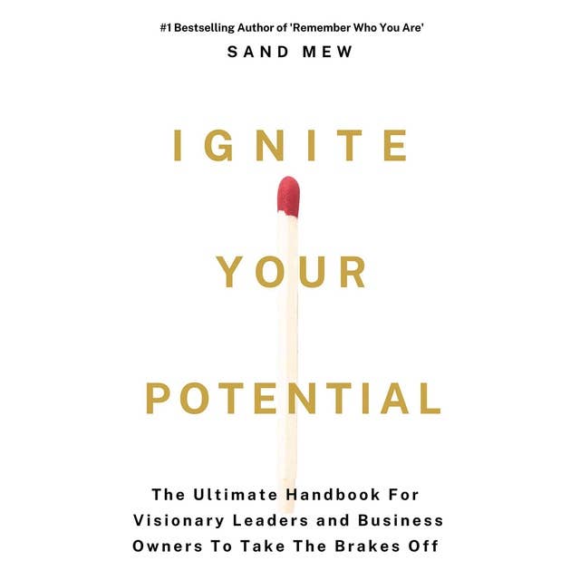 Ignite Your Potential: The Ultimate Handbook for Visionary Leaders and Business Owners to Take the Brakes Off