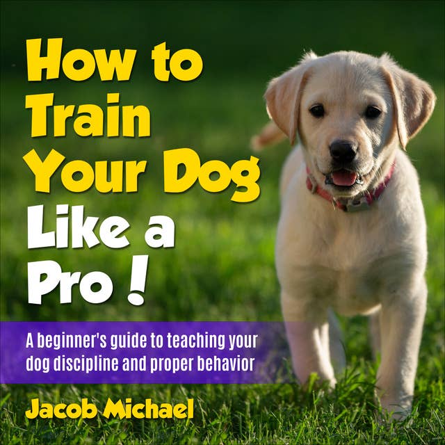 How to Train Your Dog like a Pro: A Beginners Guide to Teaching Your Dog Discipline and Proper Behavior