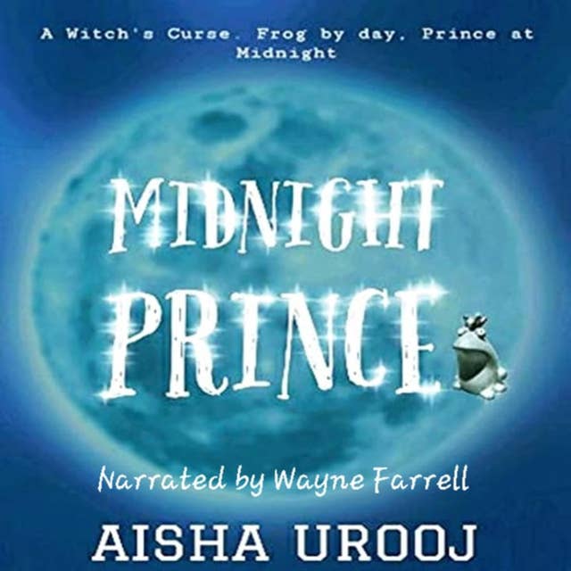 Midnight Prince: Fairytales
