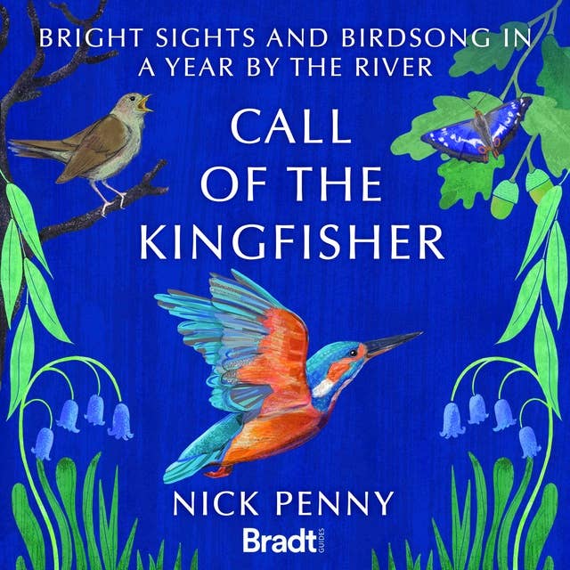Call of the Kingfisher: Bright sights and bird song in a year by the river