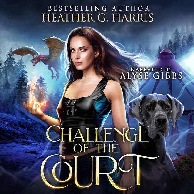 Challenge of the Court: An Urban Fantasy Novel, (The Other Realm, Book 5)