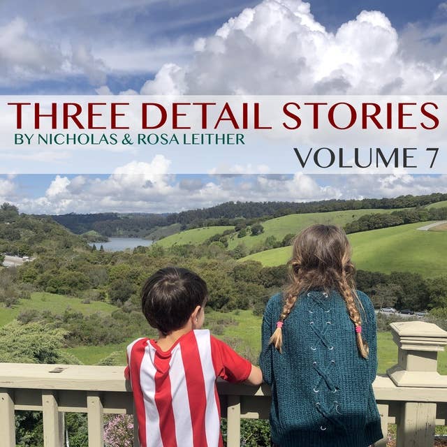Three Detail Stories: Volume 7