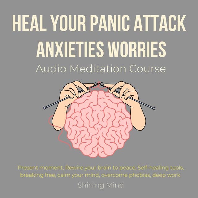 Heal your panic attack, anxieties, worries Audio Meditation Course: present moment, rewire your brain to peace, self-healing tools, breaking free, calm your mind, overcome phobias, deep work 