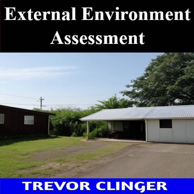 External Environment Assessment