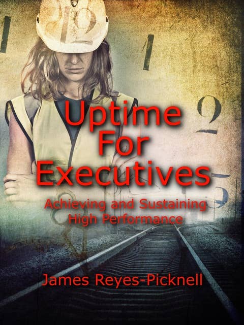 Uptime for Executives: Achieving and Sustaining High Performance