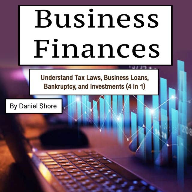 Business Finances: Understand Tax Laws, Business Loans, Bankruptcy, and Investments (4 in 1)