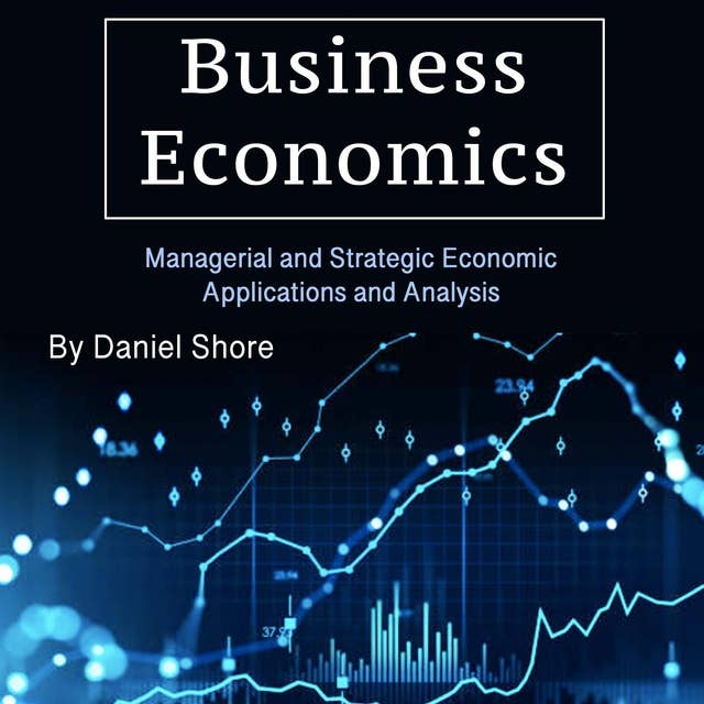 Business Economics: Managerial and Strategic Economic Applications and Analysis 