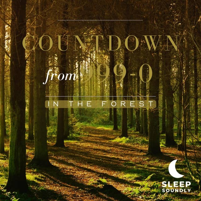 Countdown from 999-0: In the Forest