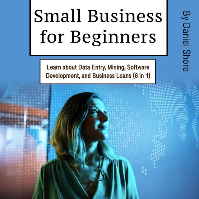 Small Business for Beginners: Learn about Data Entry, Mining, Software Development, and Business Loans (6 in 1)