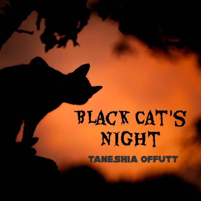 Black Cat's Night