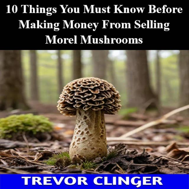 10 Things You Must Know Before Making Money From Selling Morel Mushrooms 
